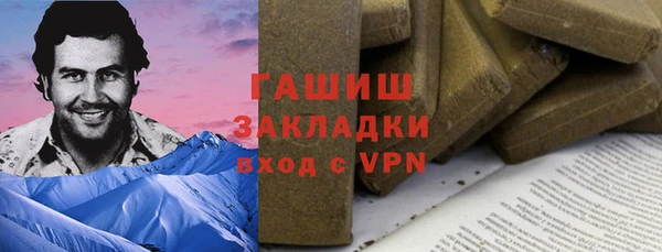 гашик Пестово