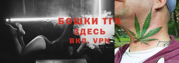 гашик Пестово
