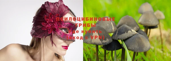 гашик Пестово