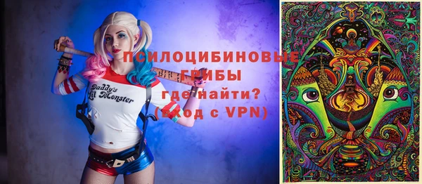 мдпв Абинск