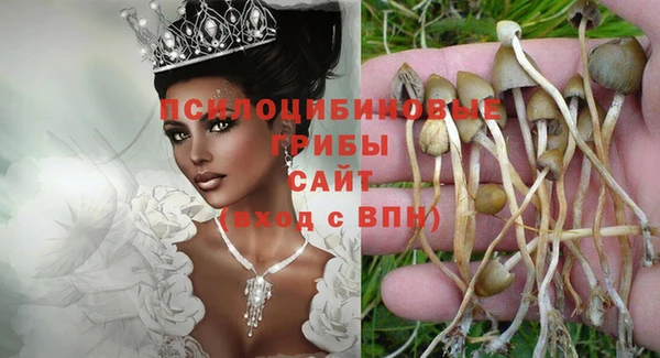 амф Переславль-Залесский