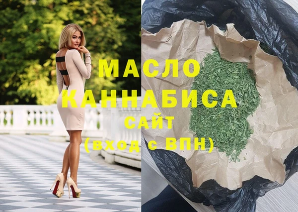 гашик Пестово
