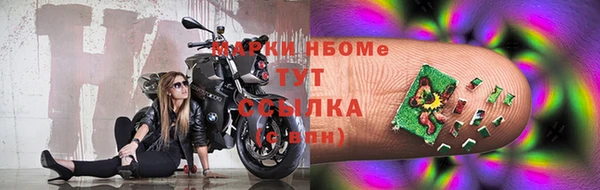 гашик Пестово