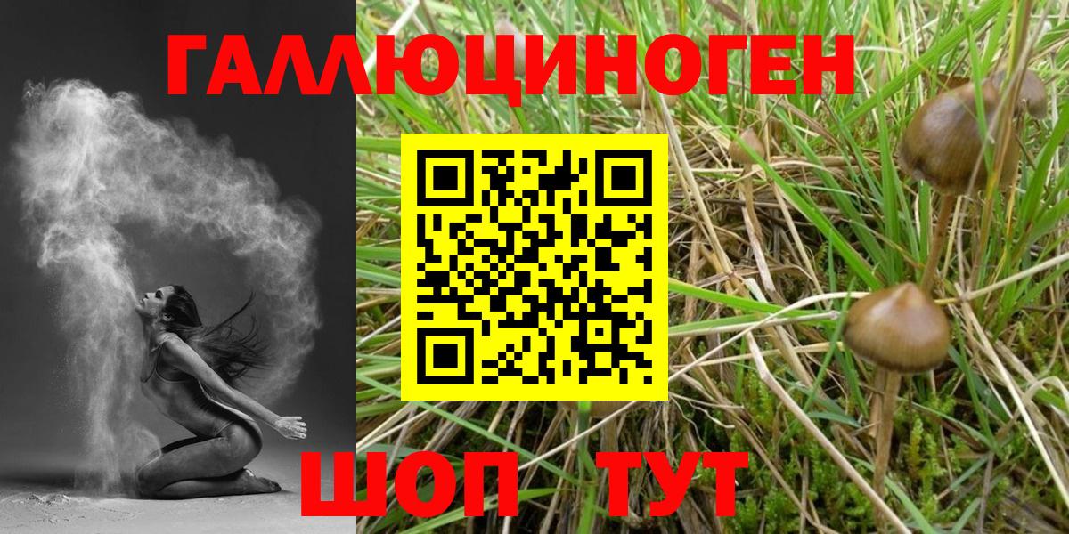 Псилоцибиновые грибы Cubensis  Вход с VPN  Псилоцибиновые грибы мухоморы  Алапаевск 